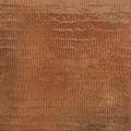 Terre brune